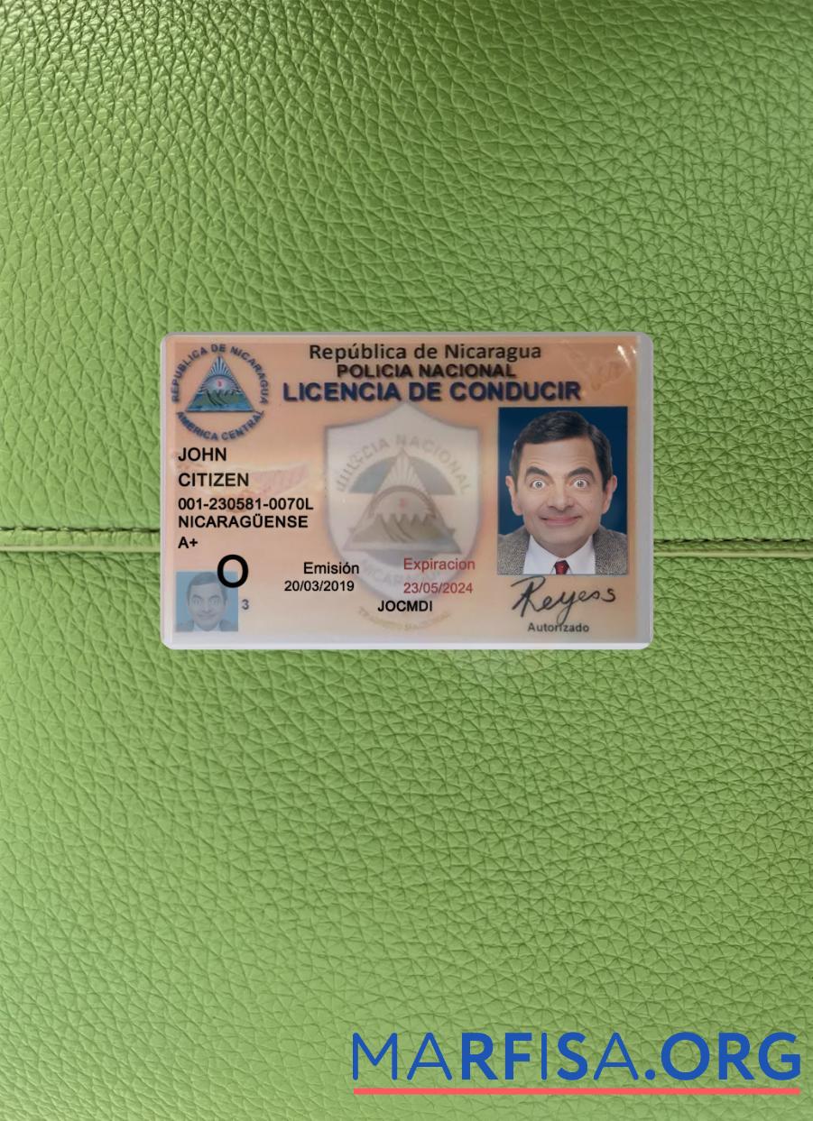 Downloadable Nicaragua driving license 2019 present photolook template